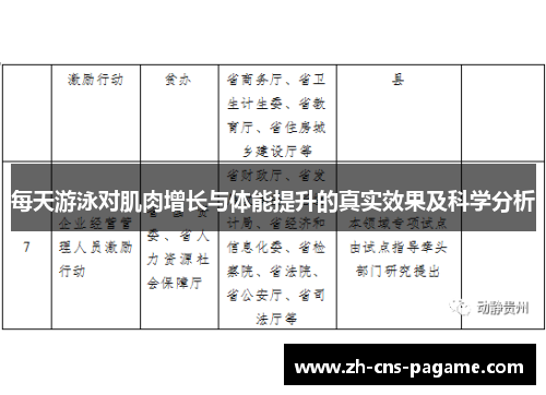 每天游泳对肌肉增长与体能提升的真实效果及科学分析