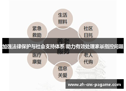 加强法律保护与社会支持体系 助力有效处理家暴指控问题