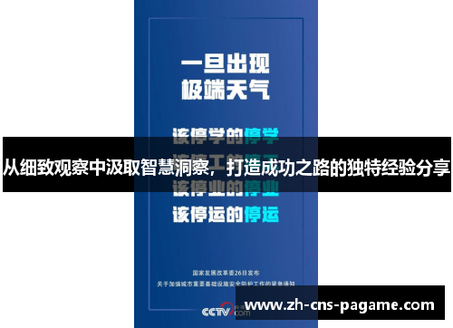 从细致观察中汲取智慧洞察,打造成功之路的独特经验分享 从细致观察中汲取智慧洞察,打造成功之路的独特经验分享