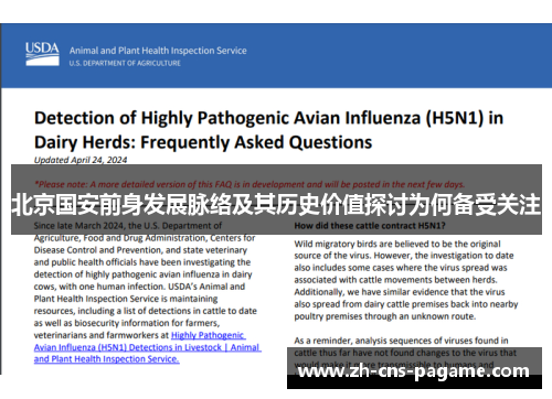 北京国安前身发展脉络及其历史价值探讨为何备受关注