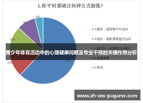 青少年体育活动中的心理健康问题及专业干预的关键作用分析