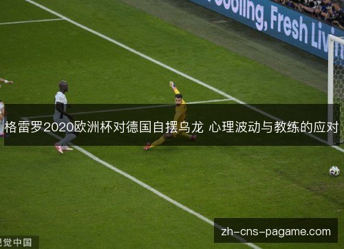 格雷罗2020欧洲杯对德国自摆乌龙 心理波动与教练的应对